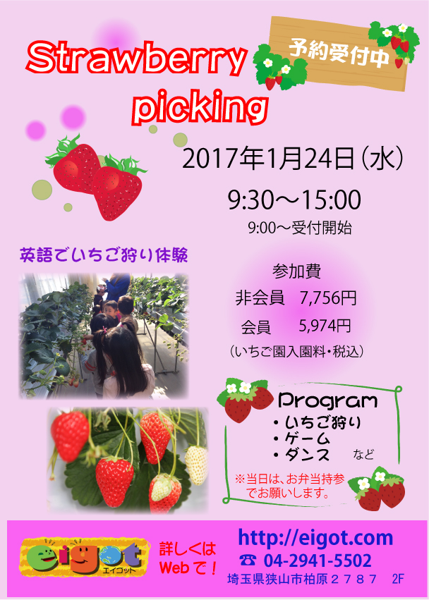 Strawberry Picking開催について 完全英語の保育施設 英語学童 ベビーから小学生までの英会話 狭山市 川越市 入間市